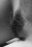 Close ups