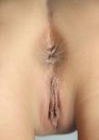 Iwia