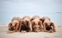 Nude Group